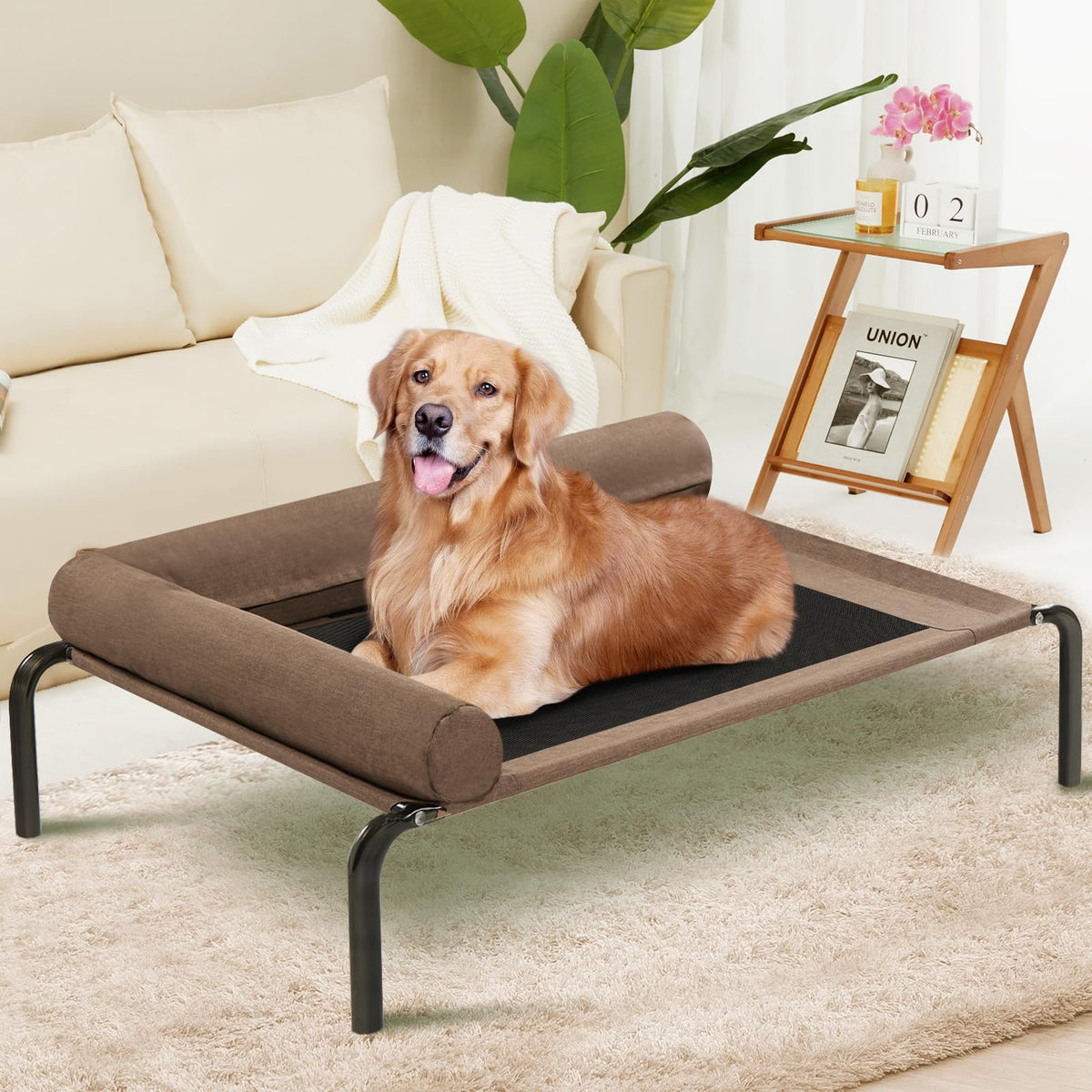 Eronia AirRest™ Elevated Cooling Dog Bed