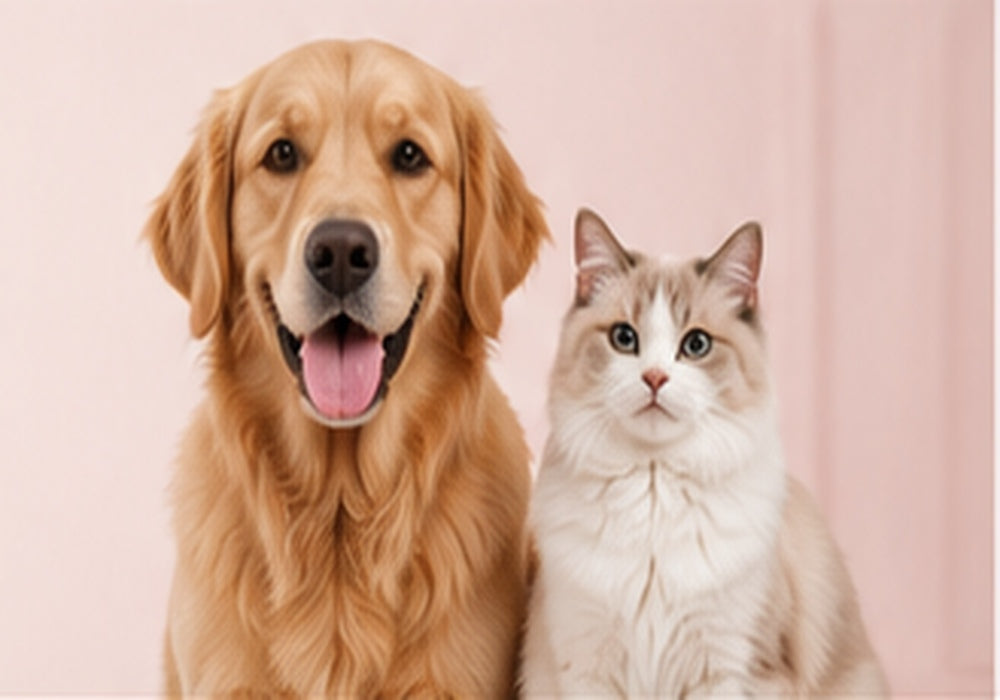 Eronia Pets
